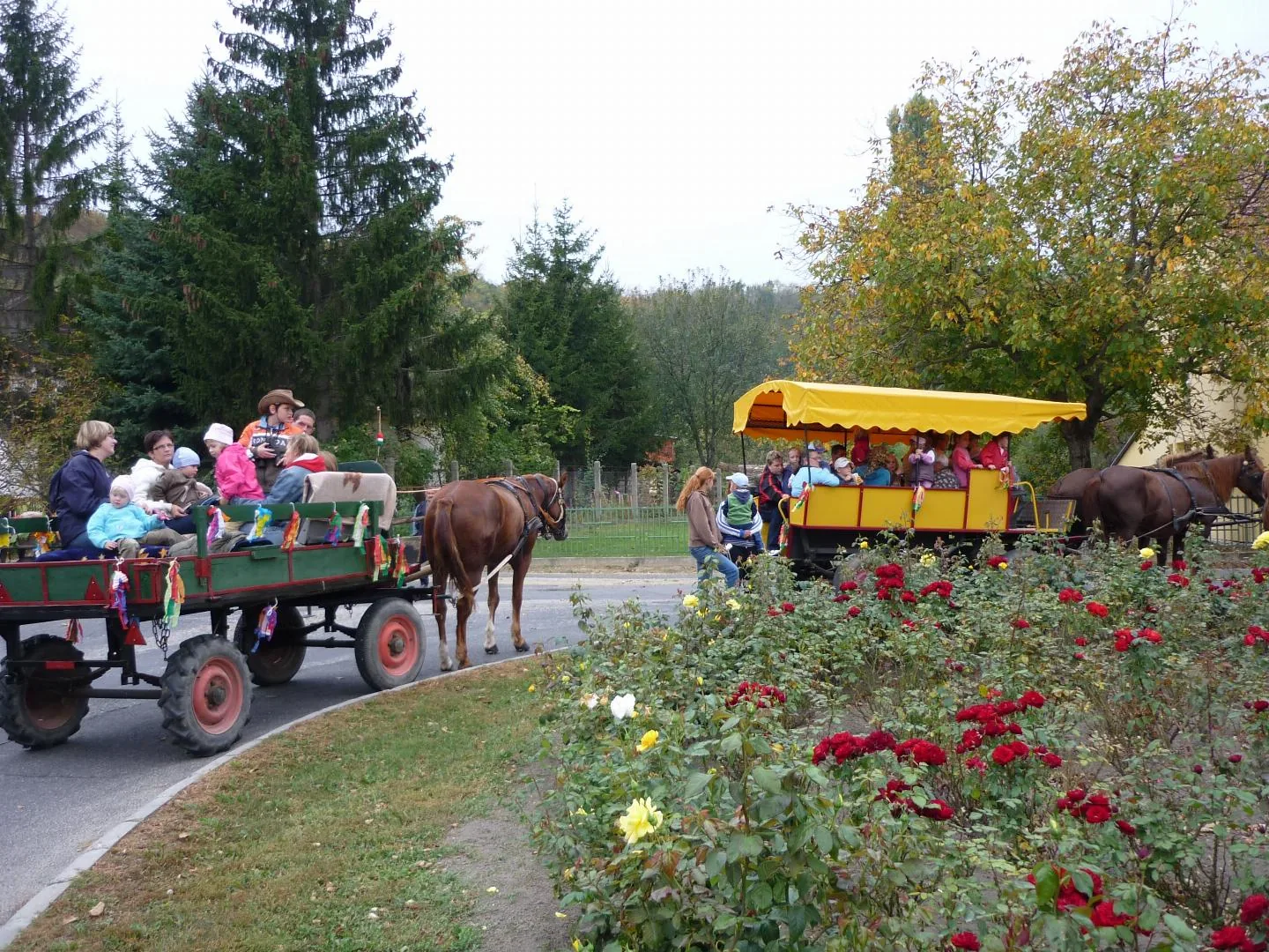 Pillanatok képekben 2018 előtt