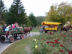 Pillanatok képekben 2018 előtt