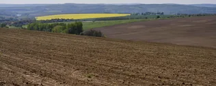 Újabb földterületek megvásárlására nyílik lehetőség borítóképe
